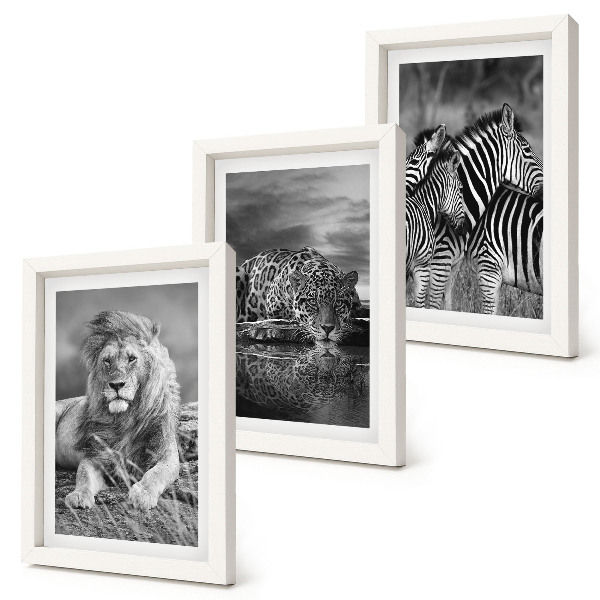 3-piece wall art set Wild animals of the savannah: lion, jaguar, and zebra