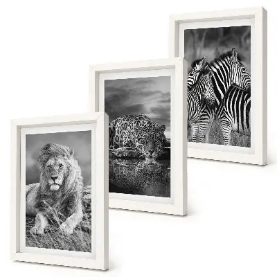 3-piece wall art set wild animals of the savannah featuring a lion, jaguar, and zebra