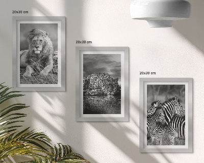 3-piece wall art set Wild animals of the savannah: lion, jaguar, and zebra