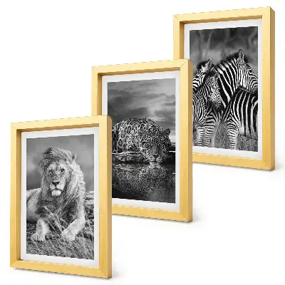 3-piece wall art set wild animals of the savannah featuring a lion, jaguar, and zebra