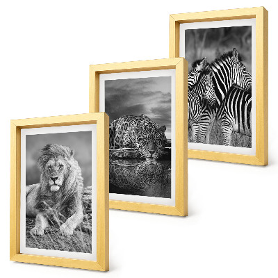 3-piece wall art set Wild animals of the savannah: lion, jaguar, and zebra