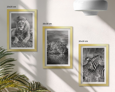3-piece wall art set Wild animals of the savannah: lion, jaguar, and zebra