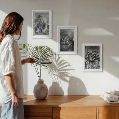 3-piece wall art set Wild animals of the savannah: lion, jaguar, and zebra