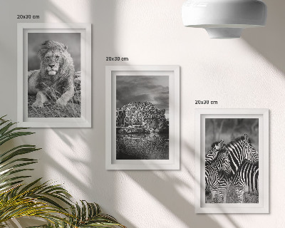 3-piece wall art set Wild animals of the savannah: lion, jaguar, and zebra