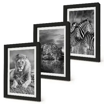 3-piece wall art set wild animals of the savannah featuring a lion, jaguar, and zebra