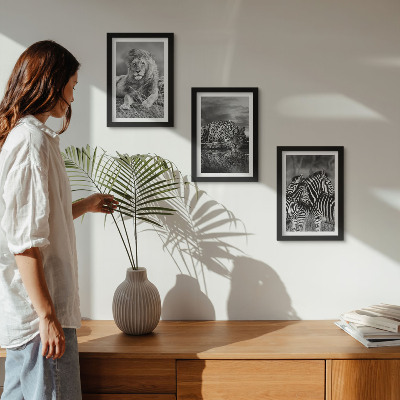 3-piece wall art set Wild animals of the savannah: lion, jaguar, and zebra