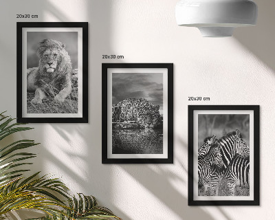 3-piece wall art set Wild animals of the savannah: lion, jaguar, and zebra