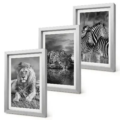 3-piece wall art set wild animals of the savannah featuring a lion, jaguar, and zebra