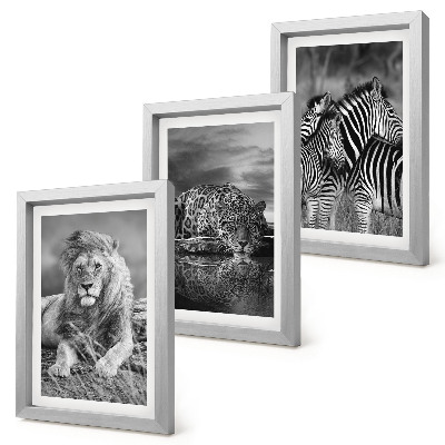 3-piece wall art set Wild animals of the savannah: lion, jaguar, and zebra