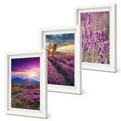 Landscape with lavender fields and sunset framed triptych