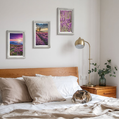 Framed triptych Landscape with lavender fields and sunset
