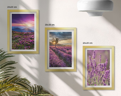 Framed triptych Landscape with lavender fields and sunset