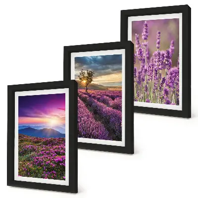Landscape with lavender fields and sunset framed triptych