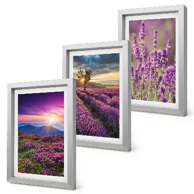 Framed triptych Landscape with lavender fields and sunset