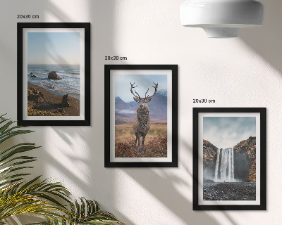 Framed triptych Mountain landscapes with a waterfall, a deer, and a beach