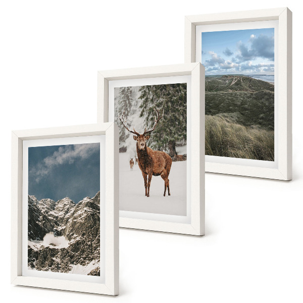 3-piece wall art set Mountains with snow, deer in the forest, landscapes