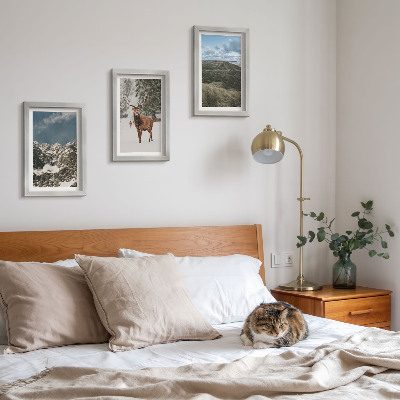 3-piece wall art set Mountains with snow, deer in the forest, landscapes