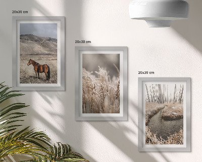 Photo frame wall Horses in a landscape of grasses and a winter stream