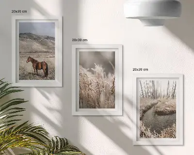 Photo frame wall featuring horses in a landscape of grasses and a winter stream