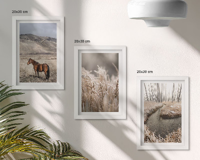 Photo frame wall Horses in a landscape of grasses and a winter stream