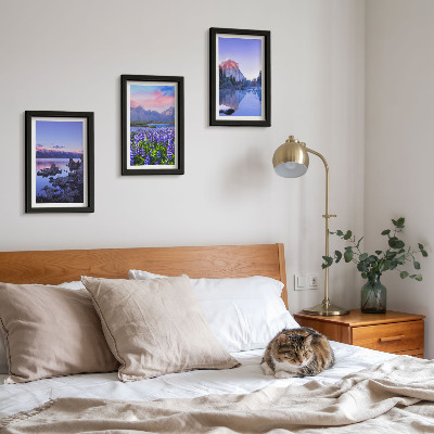 Framed triptych Mountain landscapes with water, sky and a field of flowers