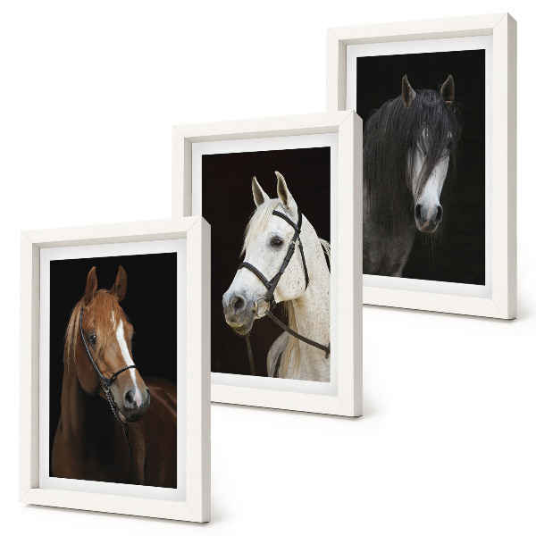 Framed triptych Portraits of horses in different shades of fur