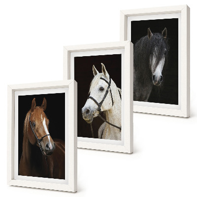 Framed triptych Portraits of horses in different shades of fur