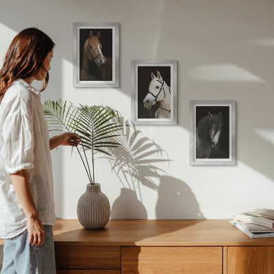 Framed triptych Portraits of horses in different shades of fur