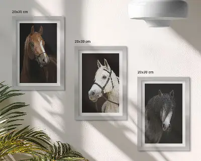 Portraits of horses in different shades of fur framed triptych