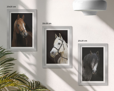 Framed triptych Portraits of horses in different shades of fur