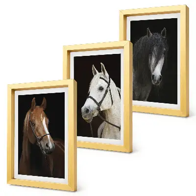 Portraits of horses in different shades of fur framed triptych