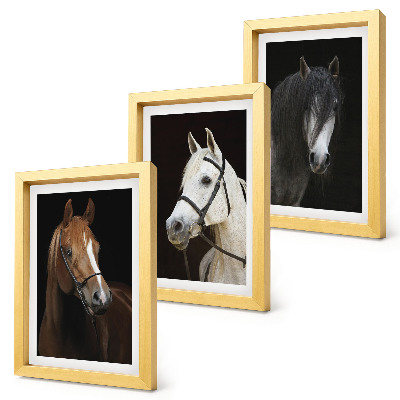 Framed triptych Portraits of horses in different shades of fur