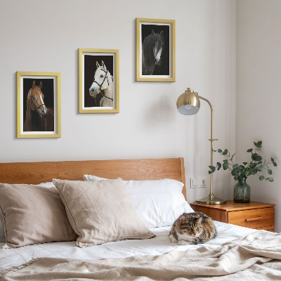 Framed triptych Portraits of horses in different shades of fur
