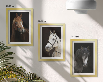 Framed triptych Portraits of horses in different shades of fur