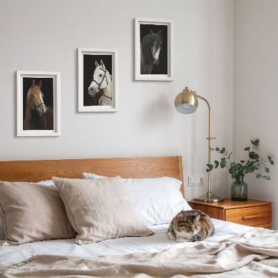 Framed triptych Portraits of horses in different shades of fur