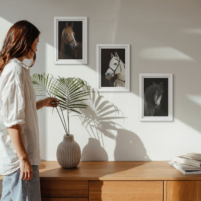 Framed triptych Portraits of horses in different shades of fur