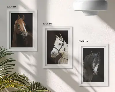 Portraits of horses in different shades of fur framed triptych