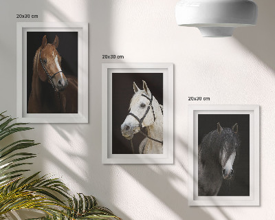 Framed triptych Portraits of horses in different shades of fur