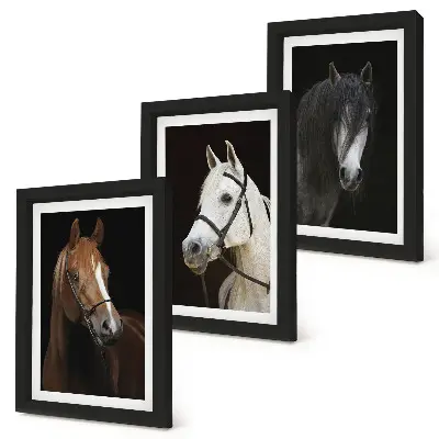 Portraits of horses in different shades of fur framed triptych