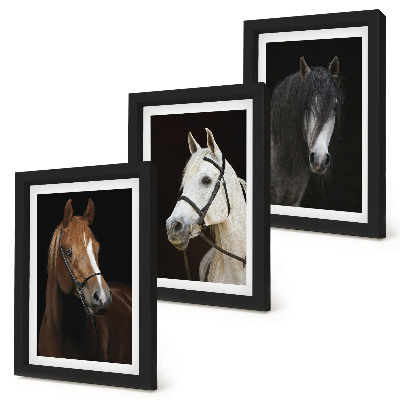 Framed triptych Portraits of horses in different shades of fur
