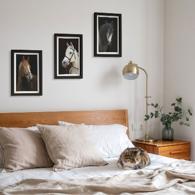 Framed triptych Portraits of horses in different shades of fur