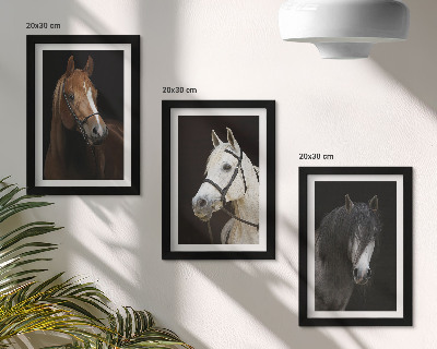 Framed triptych Portraits of horses in different shades of fur