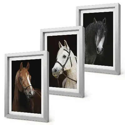 Portraits of horses in different shades of fur framed triptych