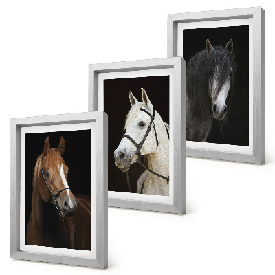 Framed triptych Portraits of horses in different shades of fur