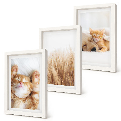 Photo frame wall Cute animals cats dogs delicate grass boho