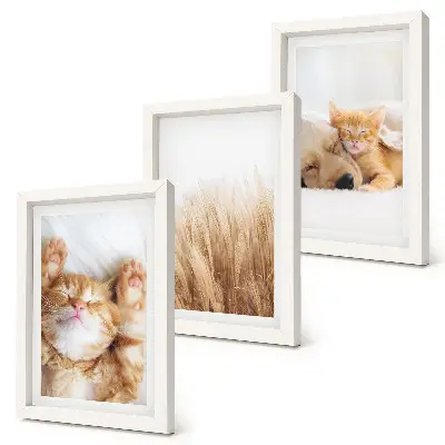 Photo frame wall with a cute animals theme featuring cats dogs and delicate grass in a boho style