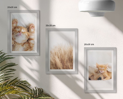 Photo frame wall Cute animals cats dogs delicate grass boho