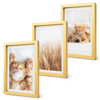 Photo frame wall Cute animals cats dogs delicate grass boho