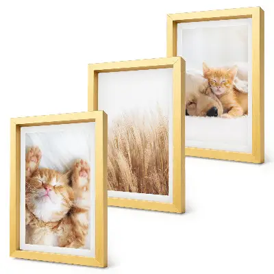 Photo frame wall with a cute animals theme featuring cats dogs and delicate grass in a boho style