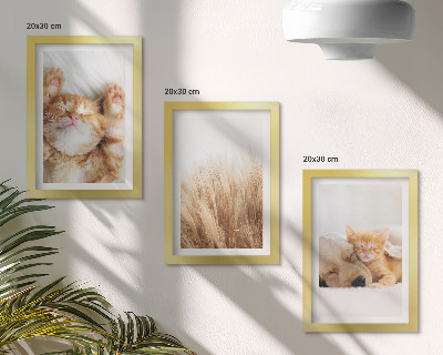 Photo frame wall Cute animals cats dogs delicate grass boho